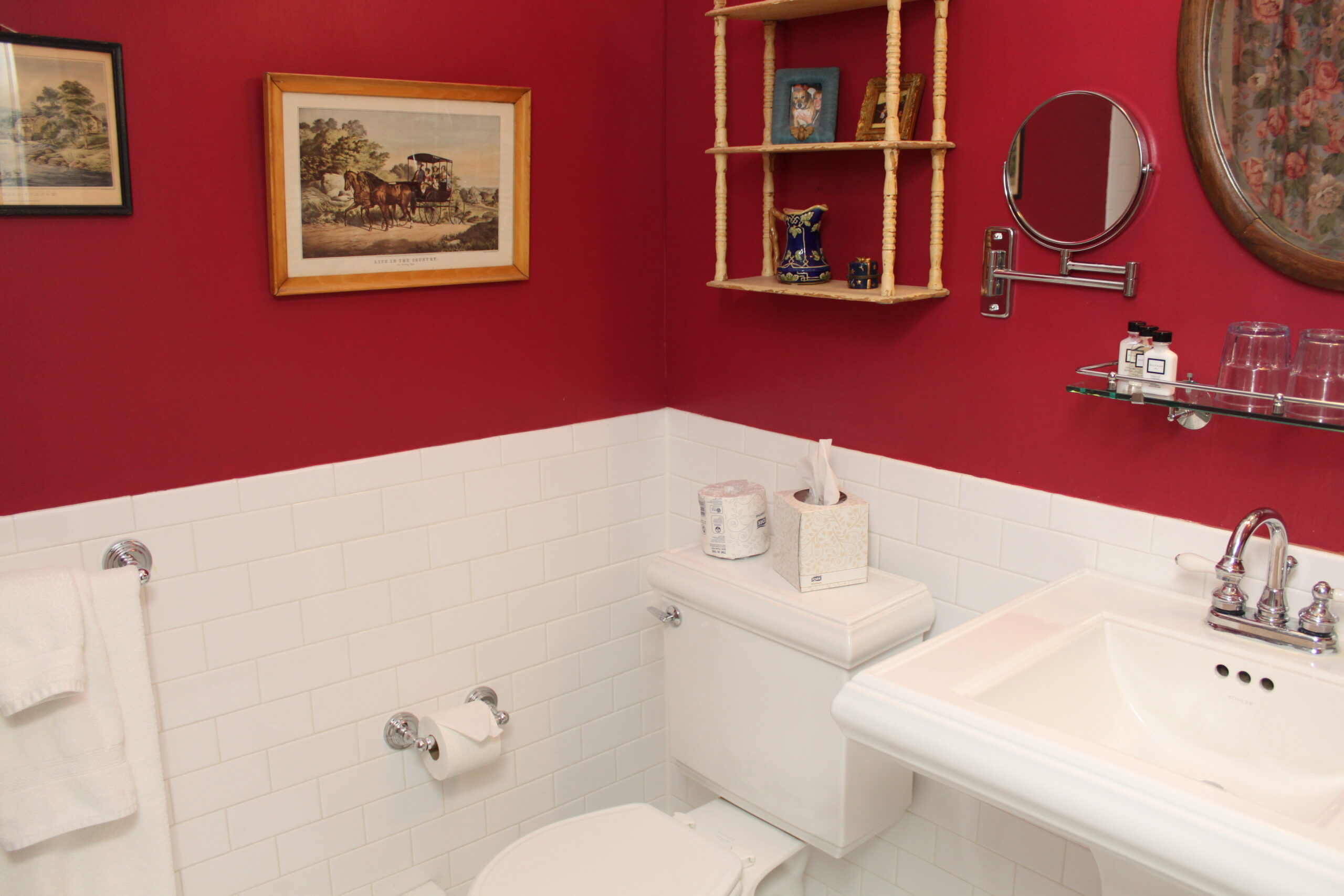 bathroom sink and wall decorations